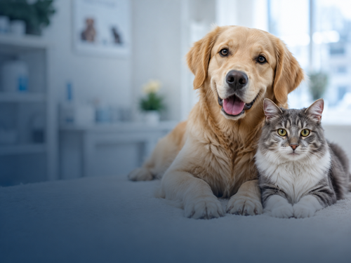 Pets products