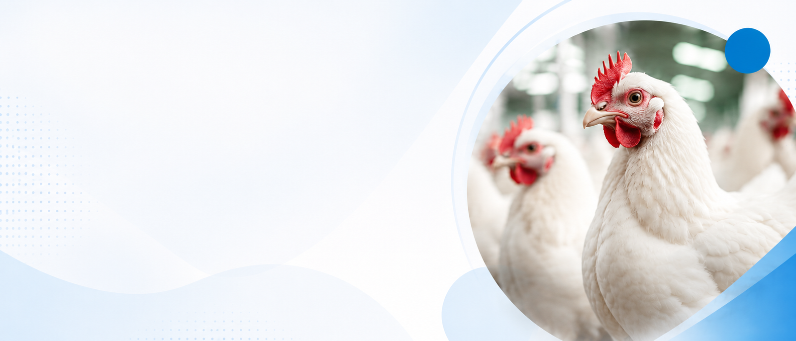 Advanced poultry health solutions